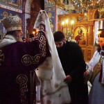 xirotonia_paranix_223