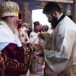 xirotonia_paranix_224