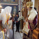 xirotonia_paranix_227