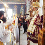 xirotonia_paranix_228