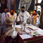 xirotonia_paranix_229