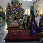 m_parask_proii_202310