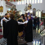 m_parask_proii_20233