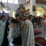 m_parask_proii_20234