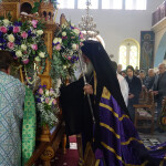 m_parask_proii_20235