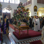 m_parask_proii_20237