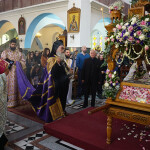 m_parask_proii_20238