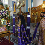 m_parask_proii_20239