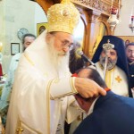 aponomi_ethia-24dsc09988