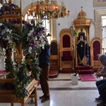 dsc_0050m_paraskevi_proi_25