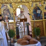 dsc_0029ag_panteleinonos_25