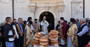 dsc_0061ag_dim_zarou_25