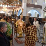 dsc_0013protoxronia_26