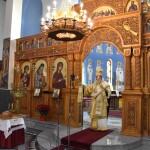 dsc_0018protoxronia_26