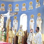 dsc_0022protoxronia_26