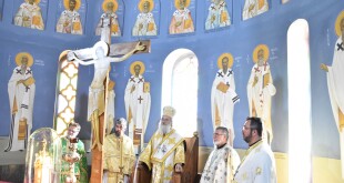 dsc_0022protoxronia_26