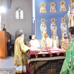 dsc_0032protoxronia_26