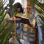 dsc_0034fota_26fota_26