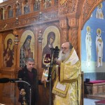 dsc_0044protoxronia_26