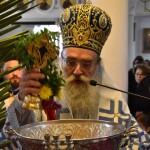 dsc_0048fota_26fota_26