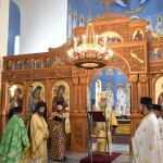 dsc_0060protoxronia_26