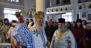 dsc_0061fota_26fota_26