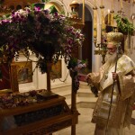 dsc_0003m_papaskevi_vradi_26