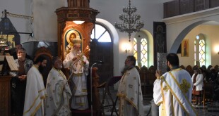 dsc_0008m_savato_proi_26