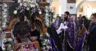 dsc_0028m_papaskevi_proi_26