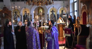 vaion_vradi_26dsc_0001