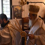 dsc_0002vourvoulitis_26