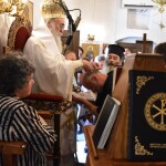 dsc_0060vourvoulitis_26