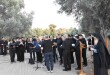 v_m_gortina_26dsc_0009